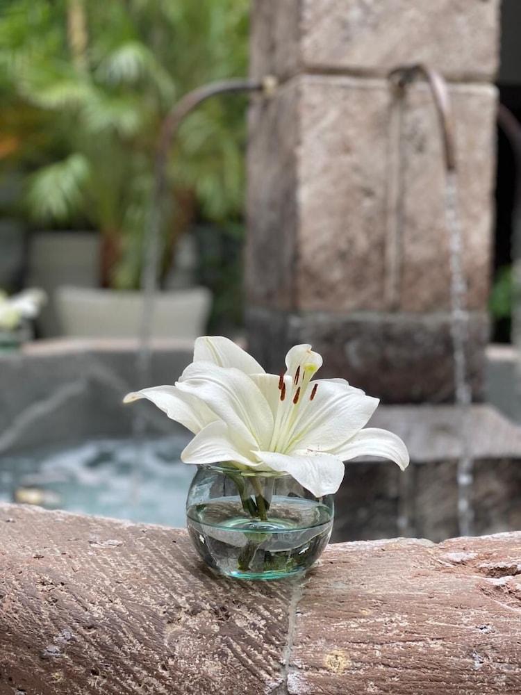 Hotel Boutique Hacienda Guadalupe San Miguel de Allende Dış mekan fotoğraf